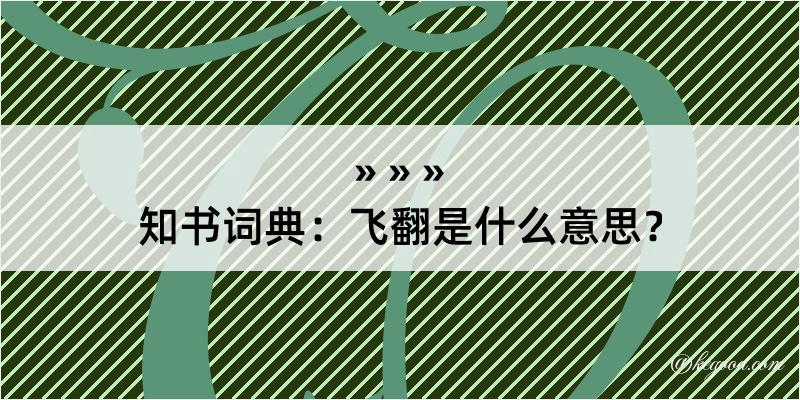 知书词典：飞翻是什么意思？