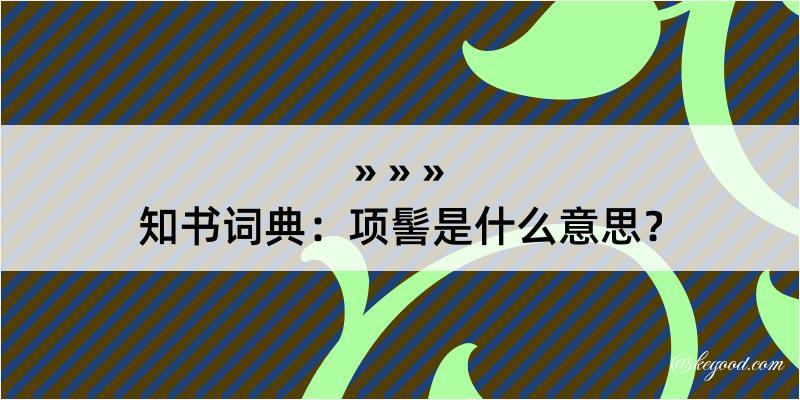 知书词典：项髻是什么意思？