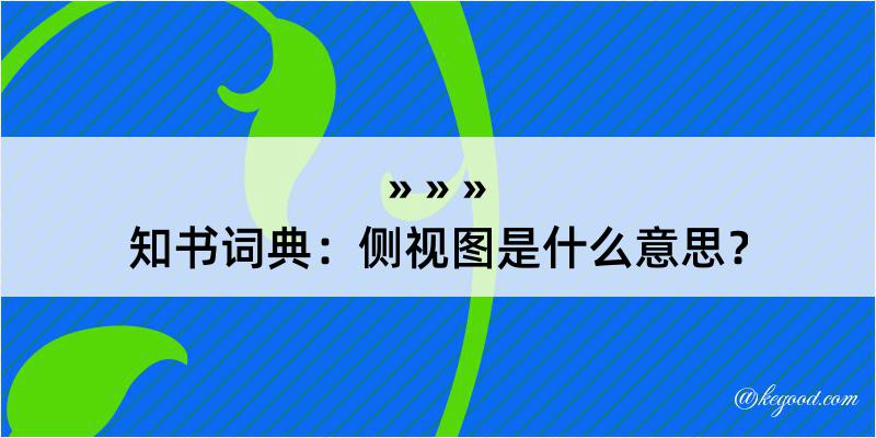 知书词典：侧视图是什么意思？