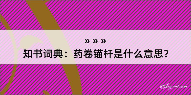 知书词典：药卷锚杆是什么意思？