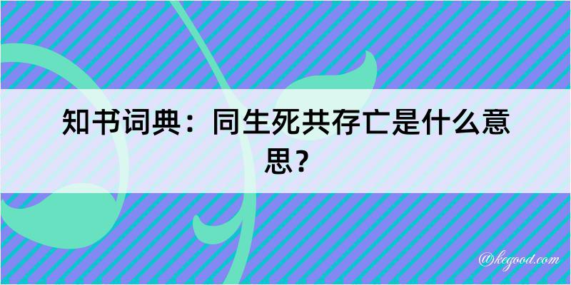 知书词典：同生死共存亡是什么意思？