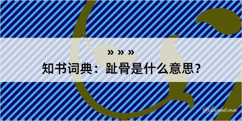 知书词典：趾骨是什么意思？