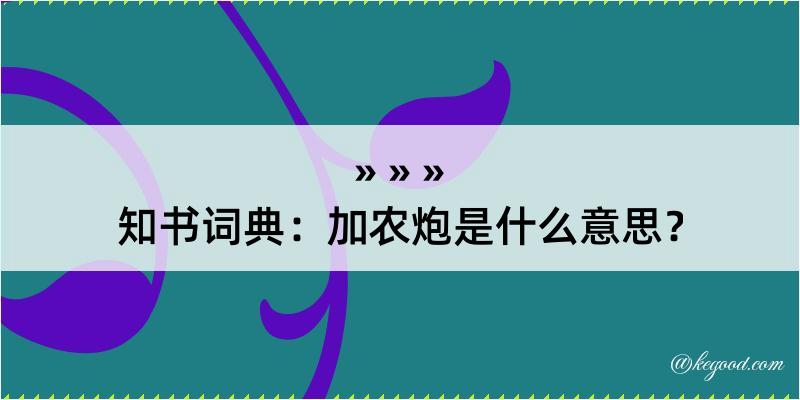 知书词典：加农炮是什么意思？