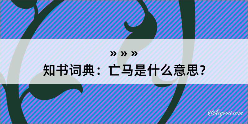 知书词典：亡马是什么意思？