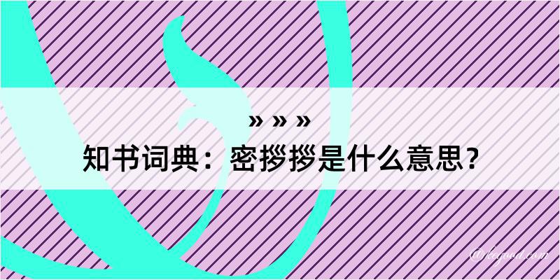 知书词典：密拶拶是什么意思？