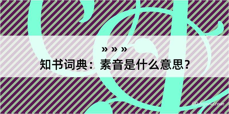 知书词典：素音是什么意思？