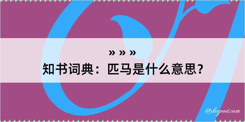 知书词典：匹马是什么意思？