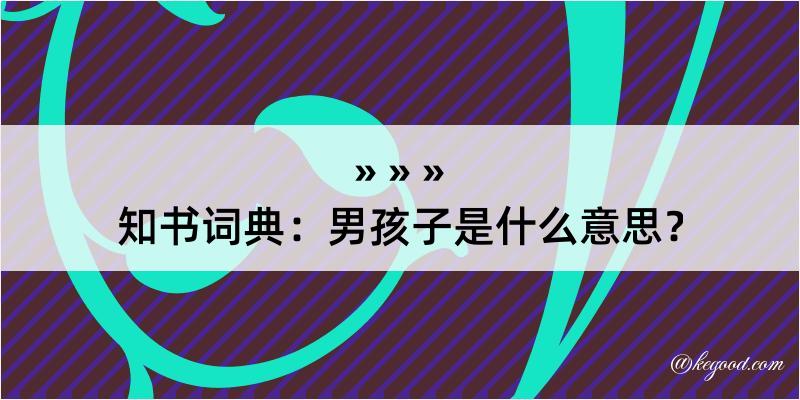 知书词典：男孩子是什么意思？