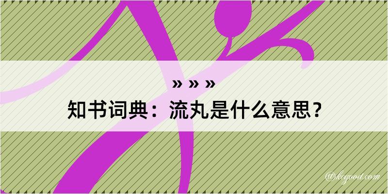 知书词典：流丸是什么意思？