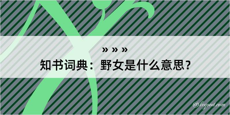 知书词典：野女是什么意思？