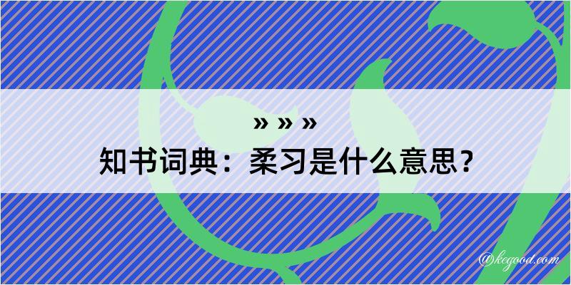 知书词典：柔习是什么意思？