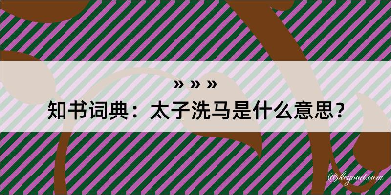 知书词典：太子洗马是什么意思？