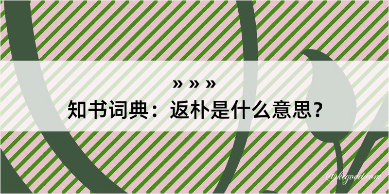 知书词典：返朴是什么意思？