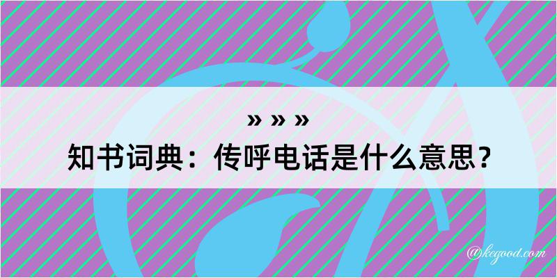 知书词典：传呼电话是什么意思？