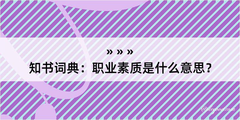 知书词典：职业素质是什么意思？