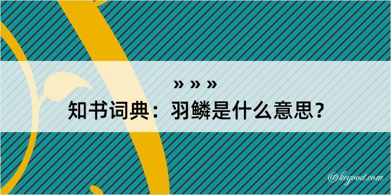 知书词典：羽鳞是什么意思？