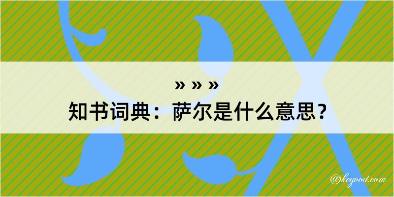 知书词典：萨尔是什么意思？