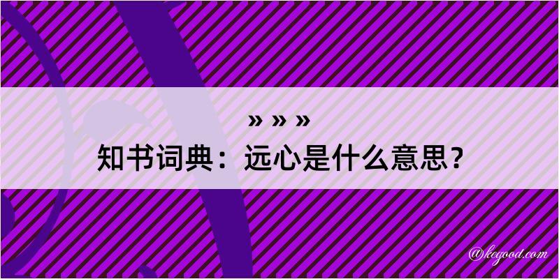 知书词典：远心是什么意思？