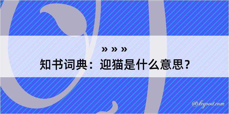 知书词典：迎猫是什么意思？