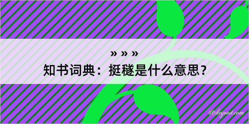 知书词典：挺穟是什么意思？