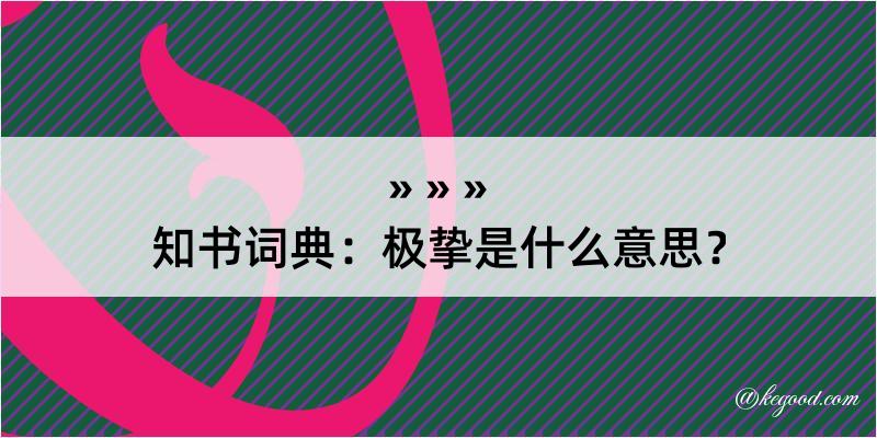 知书词典：极挚是什么意思？