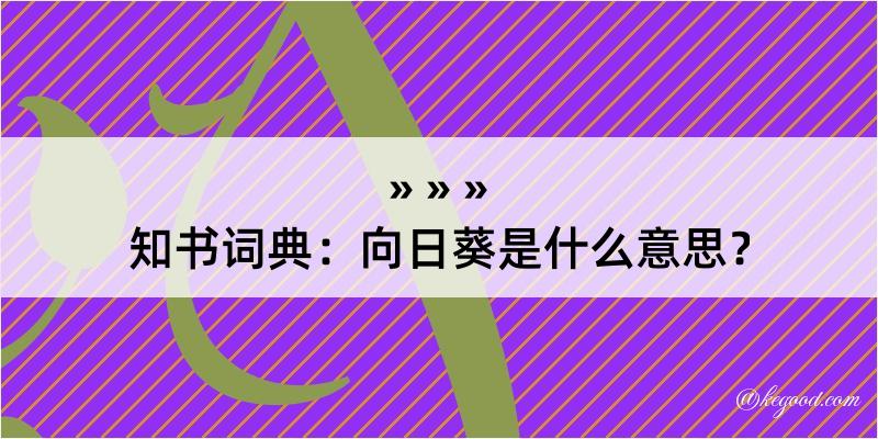 知书词典：向日葵是什么意思？