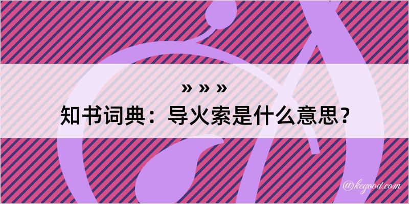 知书词典：导火索是什么意思？