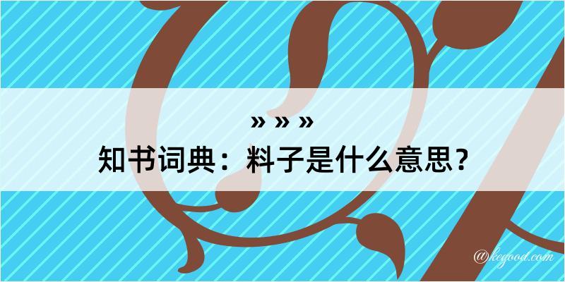 知书词典：料子是什么意思？