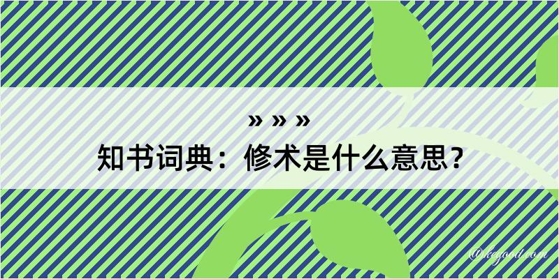 知书词典：修术是什么意思？