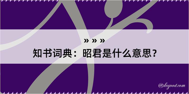 知书词典：昭君是什么意思？