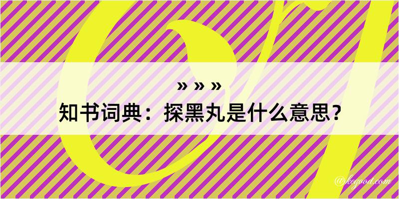 知书词典：探黑丸是什么意思？