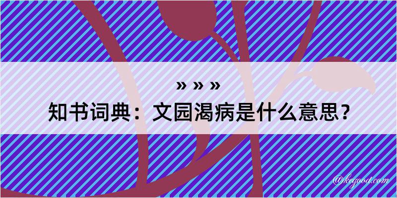 知书词典：文园渴病是什么意思？