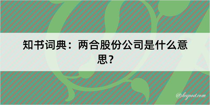 知书词典：两合股份公司是什么意思？