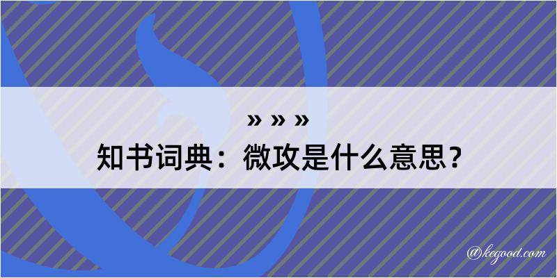 知书词典：微攻是什么意思？