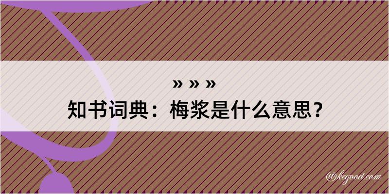 知书词典：梅浆是什么意思？