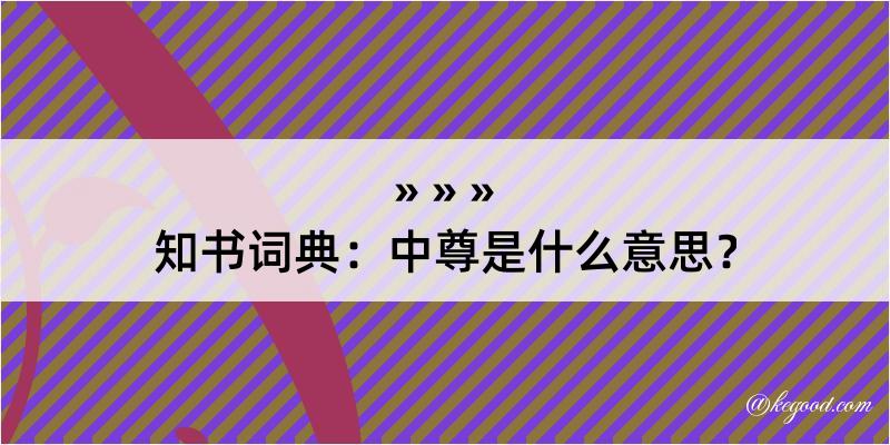 知书词典：中尊是什么意思？