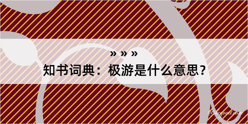 知书词典：极游是什么意思？