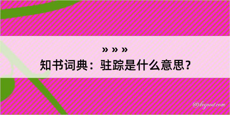 知书词典：驻踪是什么意思？