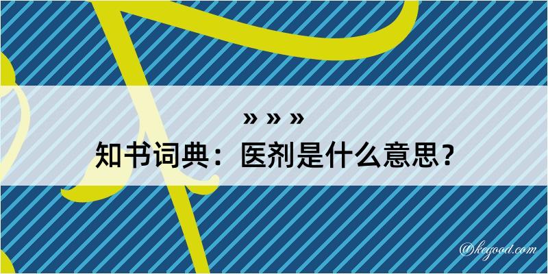 知书词典：医剂是什么意思？