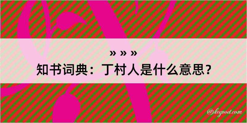 知书词典：丁村人是什么意思？