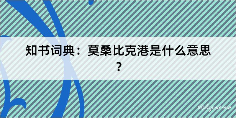 知书词典：莫桑比克港是什么意思？