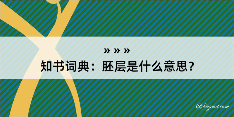 知书词典：胚层是什么意思？