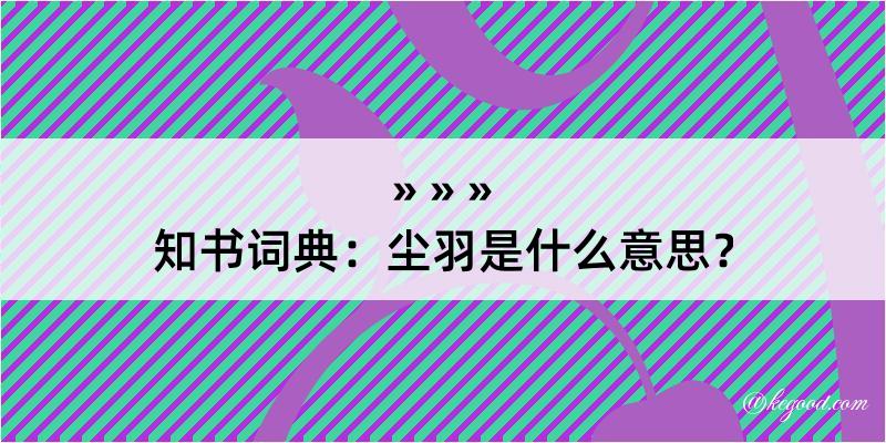 知书词典：尘羽是什么意思？