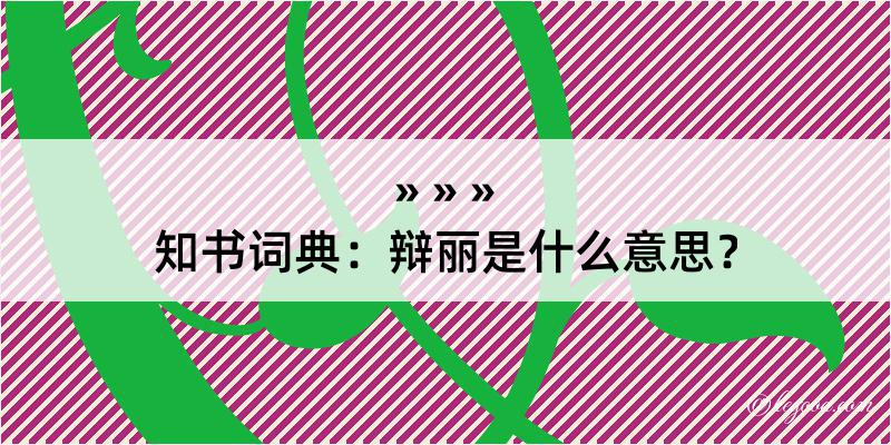 知书词典：辩丽是什么意思？