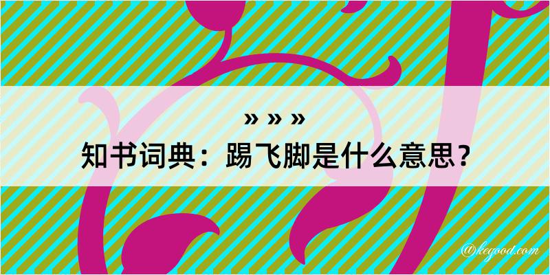 知书词典：踢飞脚是什么意思？