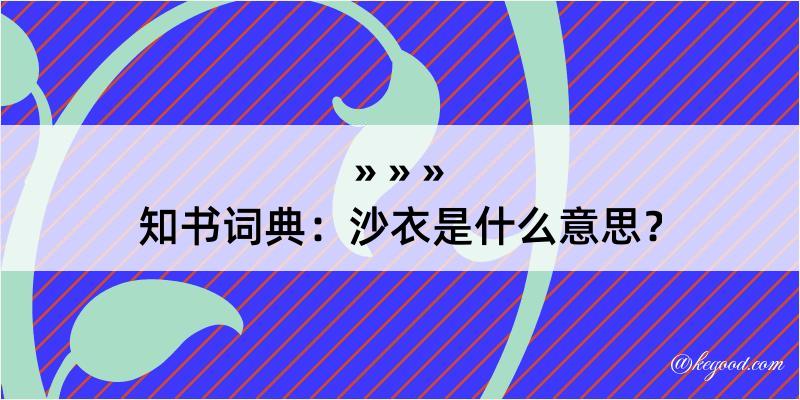 知书词典：沙衣是什么意思？