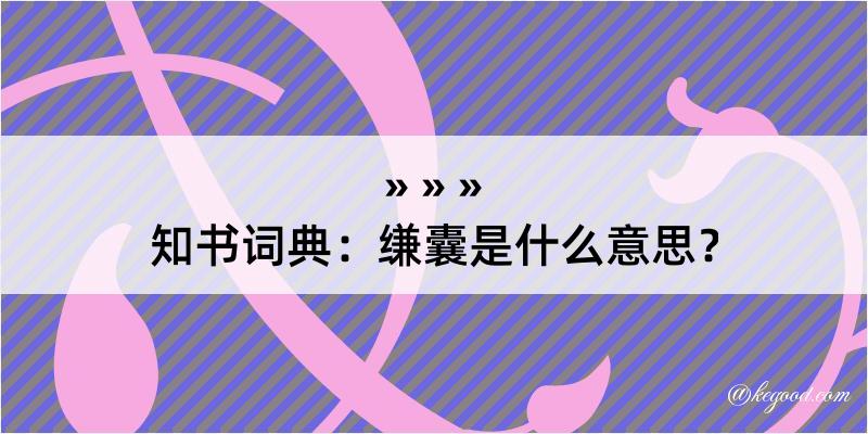 知书词典：缣囊是什么意思？