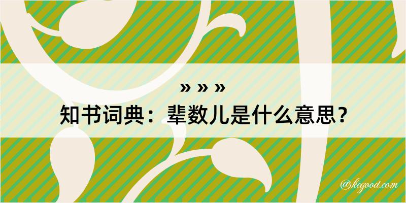 知书词典：辈数儿是什么意思？