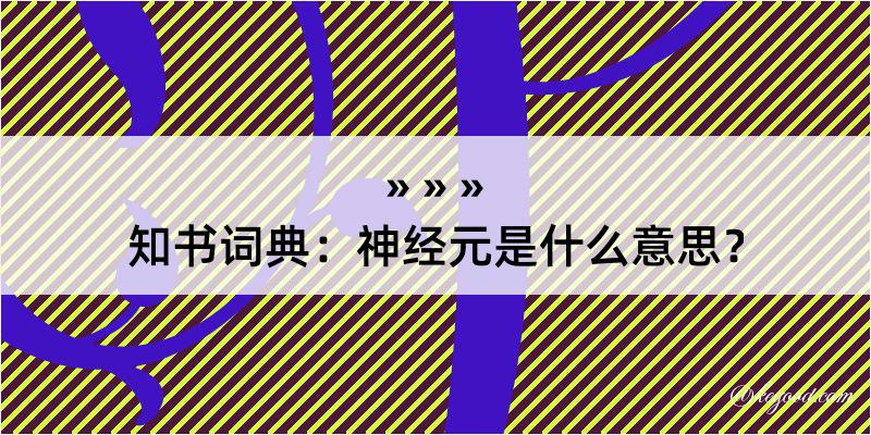 知书词典：神经元是什么意思？