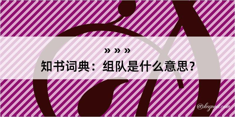 知书词典：组队是什么意思？